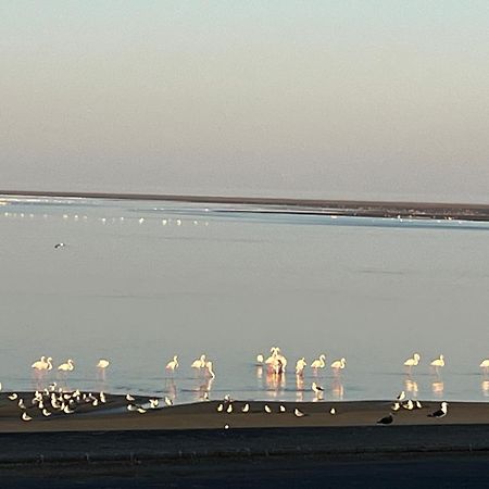 Lagoon View Self Catering Walvis Bay Exteriör bild