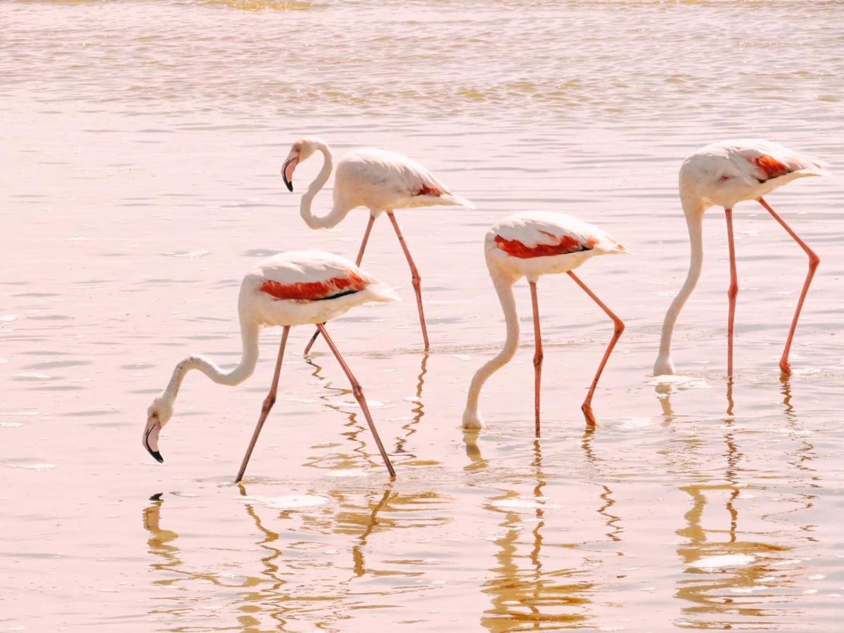 Lagoon View Self Catering Walvis Bay Exteriör bild