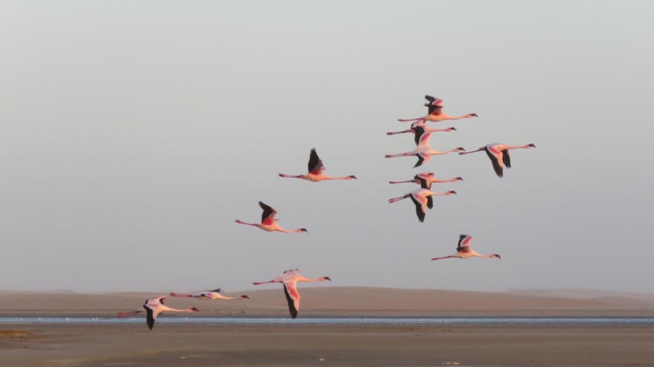 Lagoon View Self Catering Walvis Bay Exteriör bild