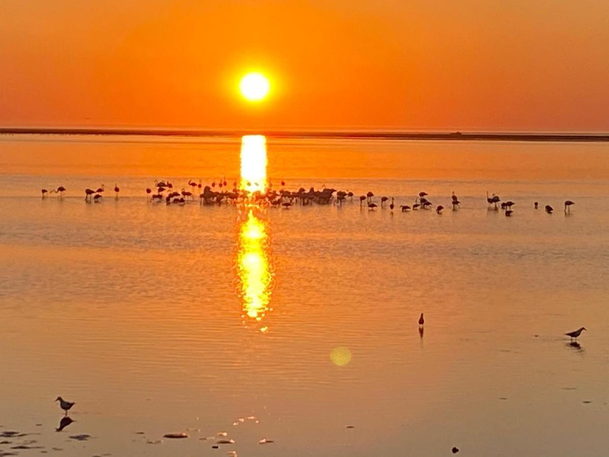 Lagoon View Self Catering Walvis Bay Exteriör bild