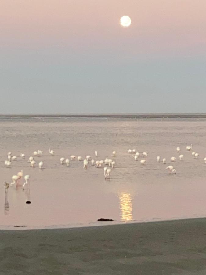 Lagoon View Self Catering Walvis Bay Exteriör bild