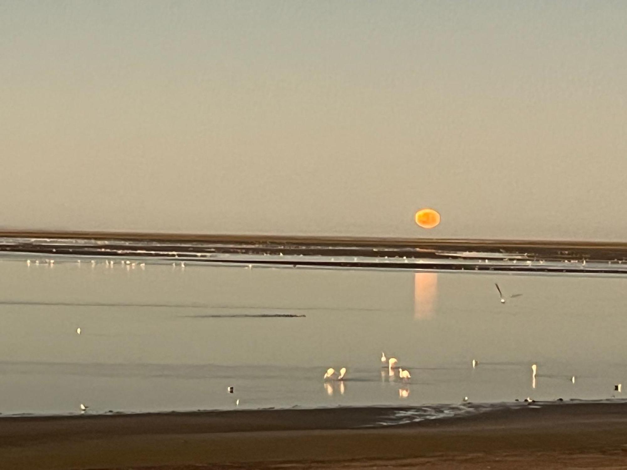Lagoon View Self Catering Walvis Bay Exteriör bild