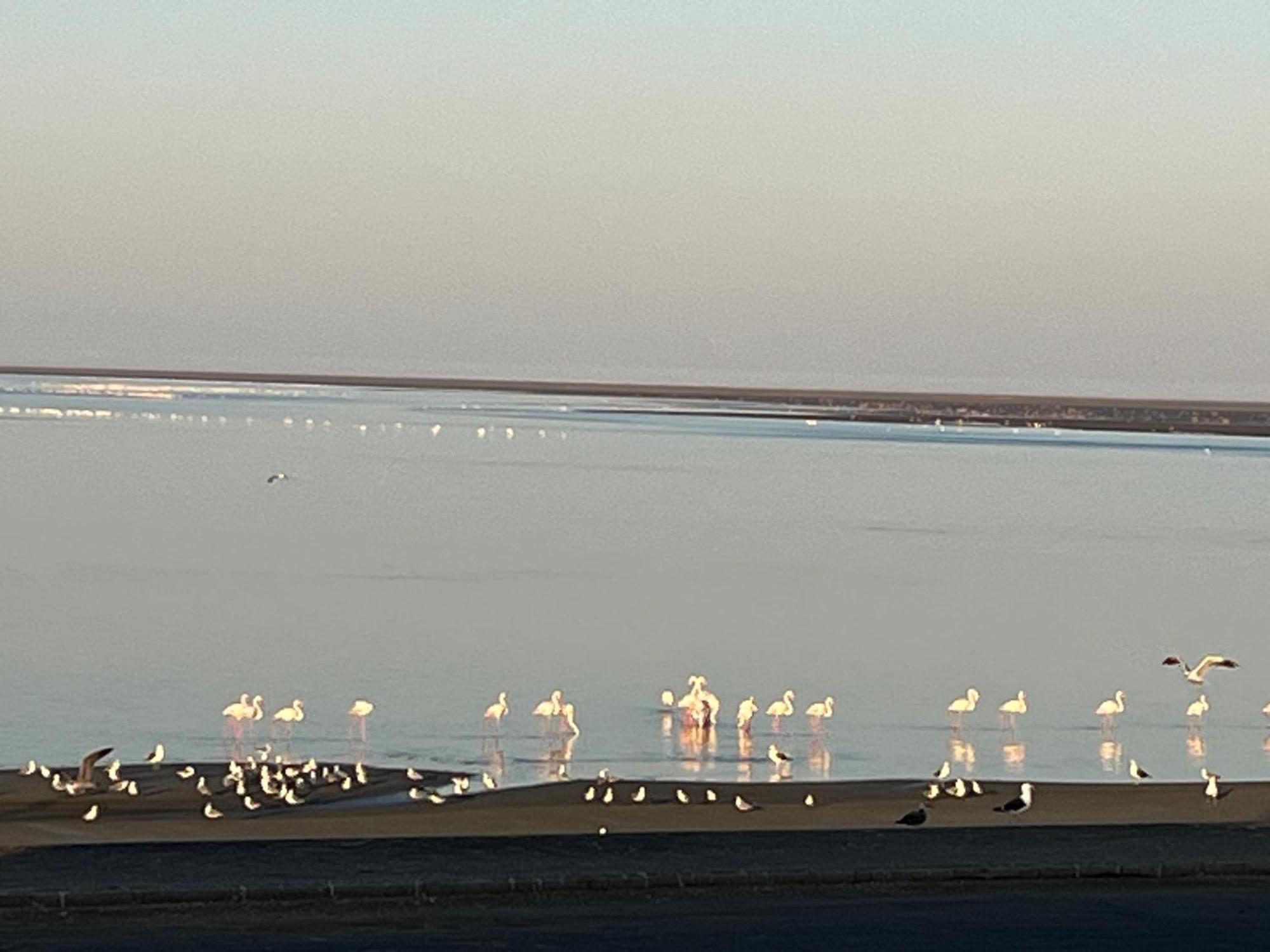 Lagoon View Self Catering Walvis Bay Exteriör bild