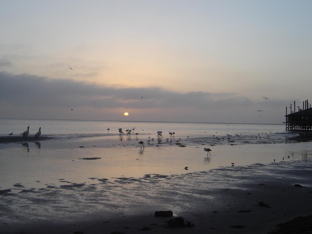 Lagoon View Self Catering Walvis Bay Exteriör bild