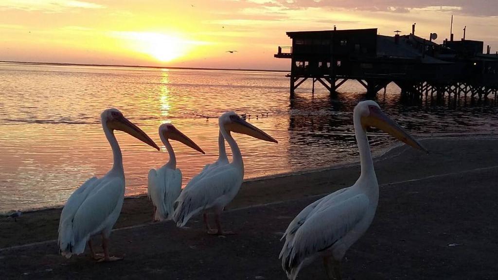 Lagoon View Self Catering Walvis Bay Exteriör bild